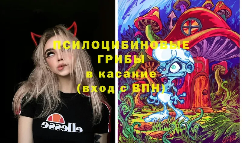 Галлюциногенные грибы Magic Shrooms  MEGA онион  Зеленоградск  наркотики 